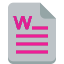 Word Icon